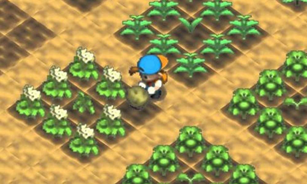 Natsume bringt ein neues Harvest Moon für PS4 und Nintendo Switch Natsume bringt ein neues Harvest Moon für PS4 und Nintendo Switch
