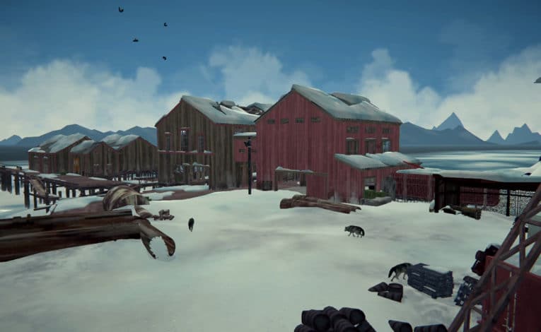 The Long Dark für Nintendo Switch