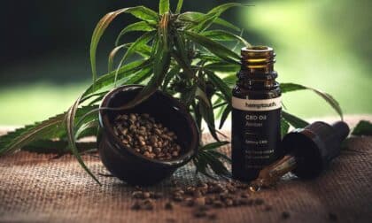Legales Cannabis: Die Identitätskrise des CBDs