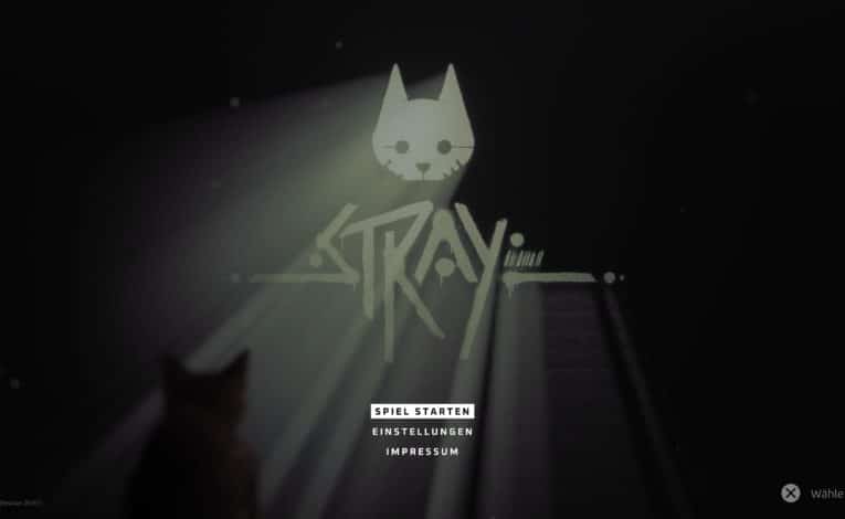 Stray PS5 © Annapurna Interactive Screenshot by DailyGame