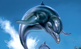 Ecco the Dolphin Boxart - Bild © SEGA