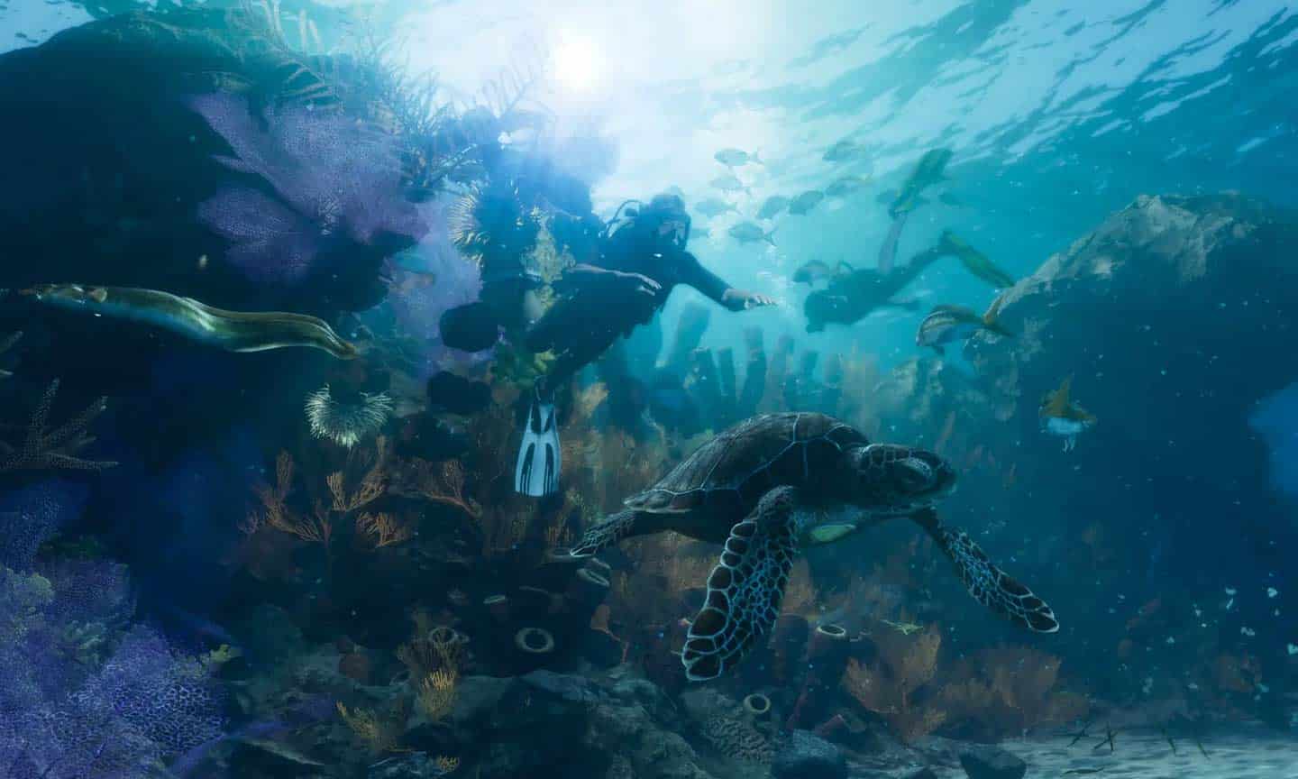 Die Unterwasserwelt in Grand Theft Auto VI sieht zumindest auf diesem veröffentlichten Screenshot sensationell aus. - Bild: Rockstar Games