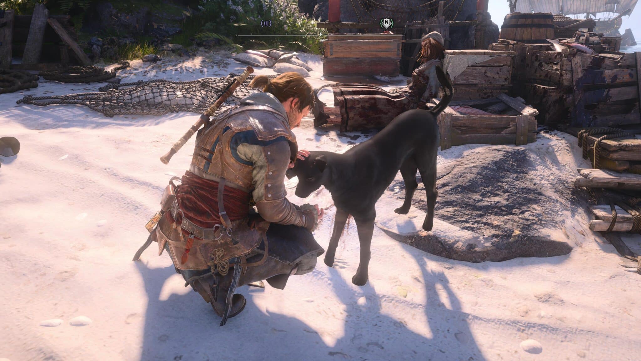 Der braveste Hund in AC Black Flag Resynced © Ubisoft, Screenshot by DailyGame