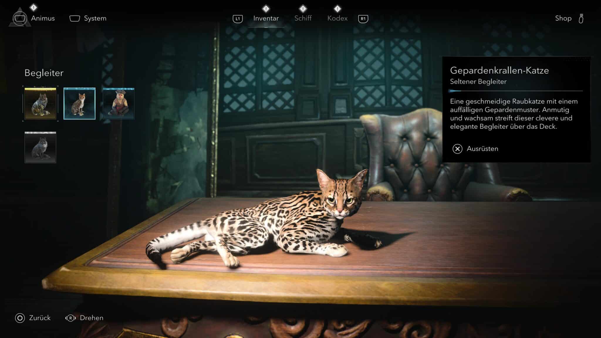 Twitch Drops Katze in AC Black Flag Resynced © Ubisoft, Screenshot by DailyGame